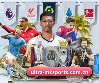 mk体育 APP 界面
